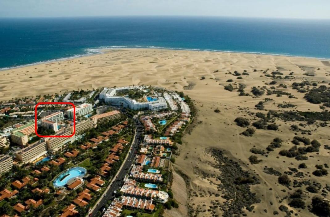 Apartment Palm Trees View Of The Dunes Playa del Inglés Eksteriør bilde